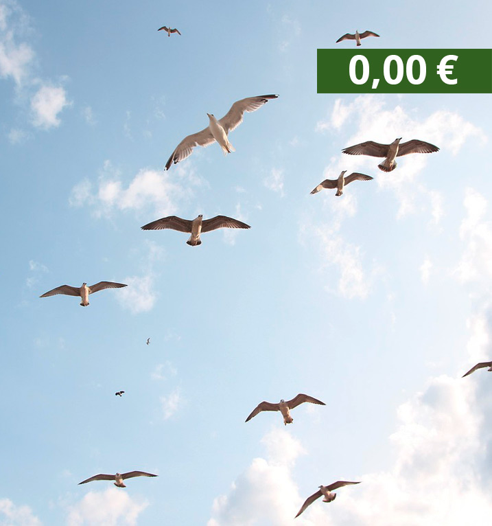 Schnuppertermin-