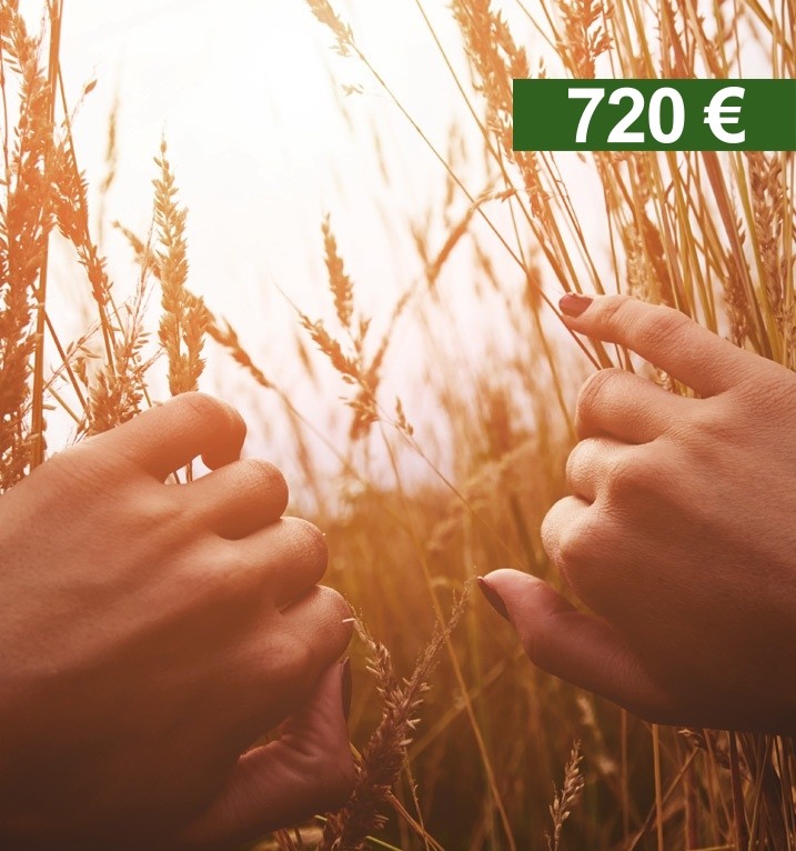 Coaching-2-offerte